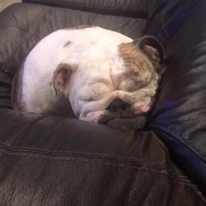 Meet your Posher, Mary